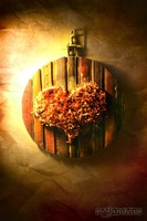 Fire Heart
